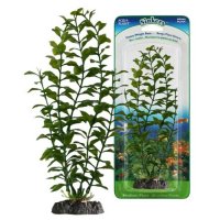 Растение для аквариума Penn-Plax Рэд Блуминг Людвигиа зелено-красное 18 см
