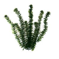 Растение для аквариума Tetra DecoArt Plant Амазон S (Amazon S) 15 см