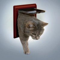 Trixie гр Дверца для кошки ( 16,5 см х 17,4 см) коричневая 38603