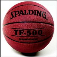 Spalding   TF-500, Indoor/Outdoor (64-512)