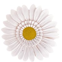     Spirella GERBERA, , 2 