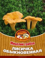 Мицелий грибов "Лисичка обыкновенная", субстрат, 60 мл