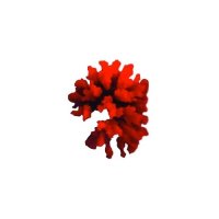 Грот TRIOL Морской коралл красный 26,5 х 15 х 13 см