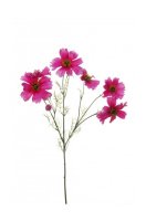 Цветы Homereligion Космея фуксии (917358)