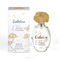 Gres   CABOTINE FLEUR D"IVOIRE  100 