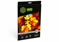  A4 CACTUS CS-SGA426020