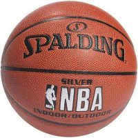   Spalding NBA Silver Series