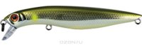  Tsuribito "Dead Minnow 90F", 009,  9 ,  10 . 28713