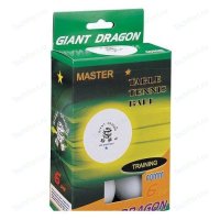     Giant Dragon Master 1 A6   33031