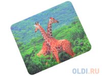    Hama H-54741 Giraffe 180  220  3 