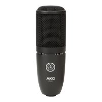  AKG WIRED P120   2/3"