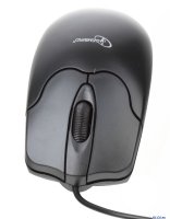  Gembird MUSOPTI8 -920U, , USB, 800DPI