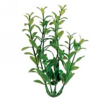 Растение TETRA пластиковое ГИГРОФИЛЛА 46 см