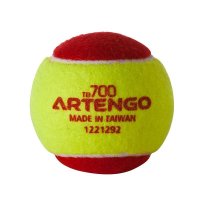 ARTENGO Мяч для тенниса TB700