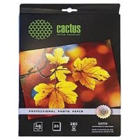  Cactus CS-SGA628020 Professional  10x15 280 / 2 20 