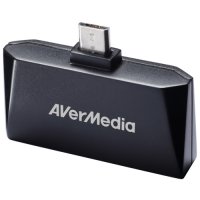  AverMedia Mobile 510 (EW510)