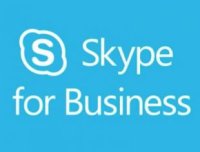 Microsoft Skype for Business 2015 Sngl OLP C