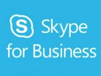 Microsoft Skype for Business EnCAL 2015 English OLP A Government UsrCAL