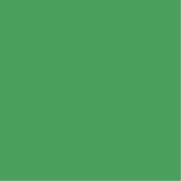  Colorama 2.72x11m Chroma Green CO133