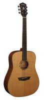   Washburn WD160SW