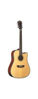   Washburn D46SCE(N)