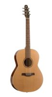   GODIN 32549+ COASTLINE S6 FOLK CEDAR