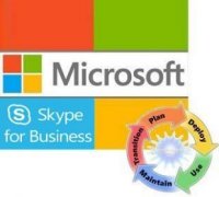 Microsoft Skype for Business Svr PlusCAL Sngl LicSAPk OLP NL UsrCAL