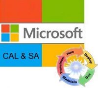  Microsoft Windows Server CAL Sngl LicSAPk OLV NL 1Y AqY1 AP Device CAL