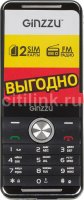  Ginzzu M106D 2.4", 2*SIM, 1.3Mp, Flash, MP3, FM 