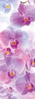 Фотообои Твоя Планета "Premium. Поэма цвета: Орхидеи", 4 листа, 97 см х 272 см