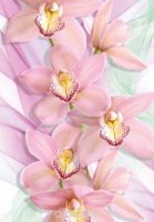 Фотообои Твоя Планета Премиум "Орхидеи" 194 х 136 см, 4 листа