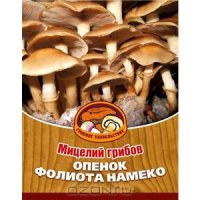 Мицелий грибов "Опенок Фолиота Намеко, на 16 древесных палочках