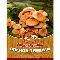 Мицелий грибов "Опенок зимний", 16 древесных палочек
