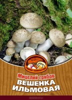 Мицелий грибов "Вешенка ильмовая", 16 древесных палочек