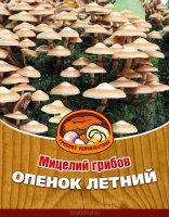 Центр Мицелий грибов "Опенок летний", 16 древесных палочек