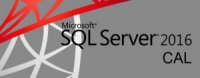 Microsoft SQL CAL 2016 Sngl OLP C DvcCAL