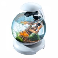  Tetra CascadeGlobe 6.8  White 238909 -  