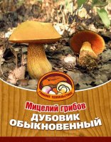 Мицелий грибов "Дубовик обыкновенный", в субстрате, 60 мл