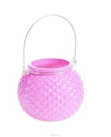  Gardman "Honey Pot. Diamond", : , 8,5 