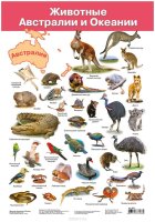 Дрофа-Медиа Обучающий плакат Животные Австралии и Океании