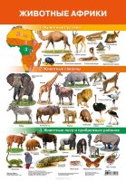 Дрофа-Медиа Обучающий плакат Животные Африки