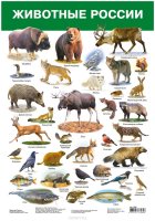 Дрофа-Медиа Обучающий плакат Животные России