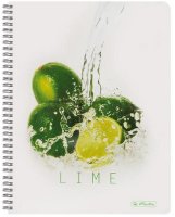  Herlitz FRESH FRUIT LIME A4 70  11291697 11291697