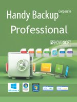   Novosoft Handy Backup Professional 7 (50 - 99)
