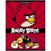  Hatber 24   "Angry Birds"