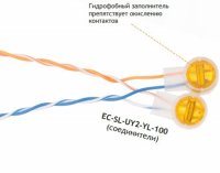   NETLAN EC-SL-UY2-YL-100 C    ,  2-  0,4-