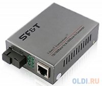   SF&T SF-100-11S5b Fast Ethernet    Ethernet  