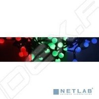   5   13  (NEON-NIGHT LED -  303-539) (, , )