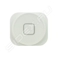 Кнопка Home для Apple iPhone 5 (R0000246) (белый)