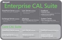  Microsoft Enterprise CAL AllLng LicSAPk OLV NL 1Y PlatformUTD UsrCAL wSrvcs